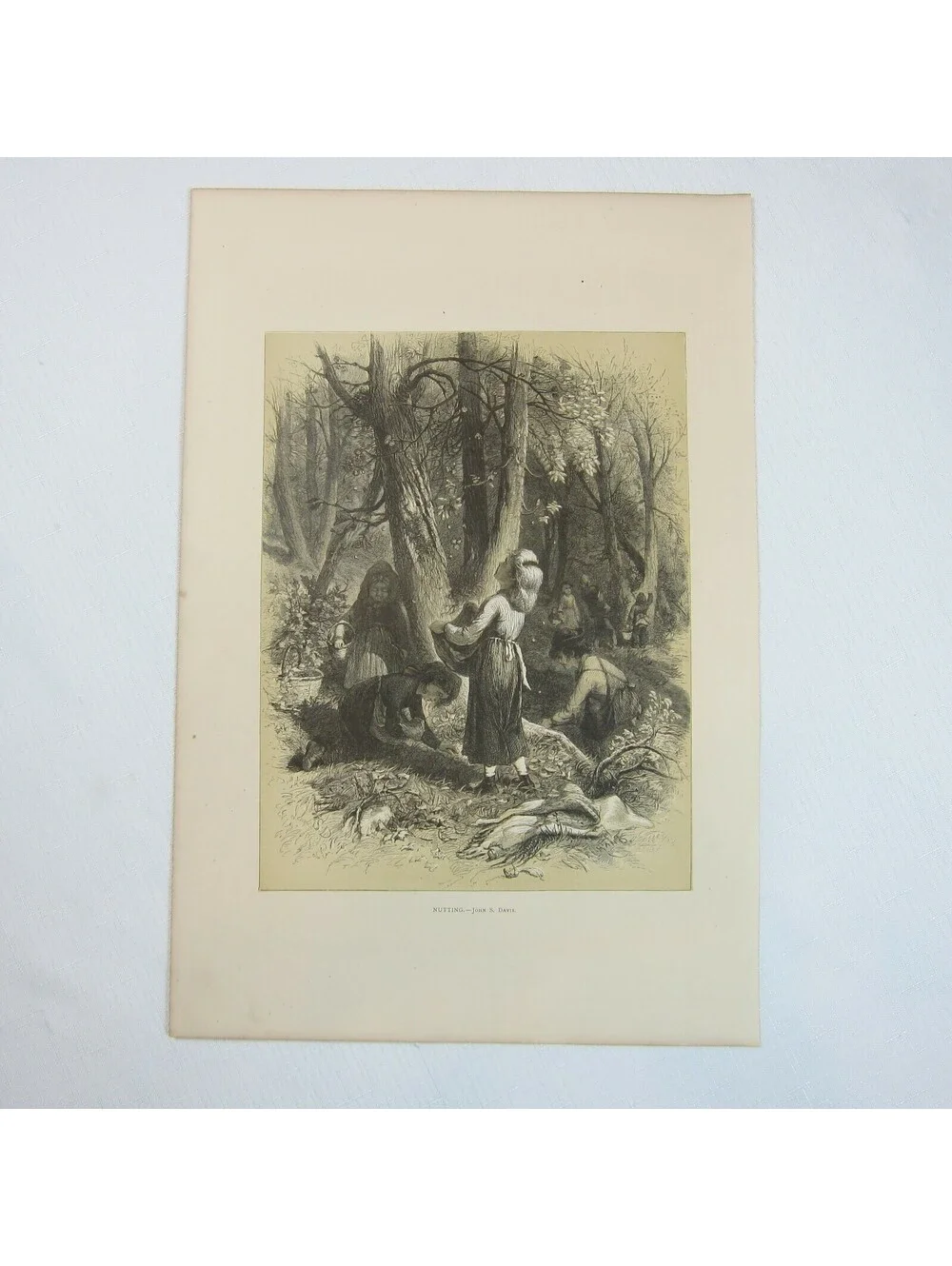 Antique 1873 Wood Engraving Print Nutting by John S. Davis, The Aldine, Children